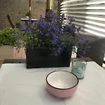 Casa Bona * Alba (Piedmont)