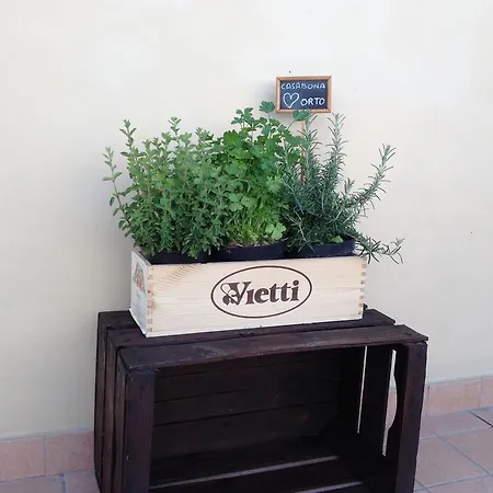 Casa Bona Appartement