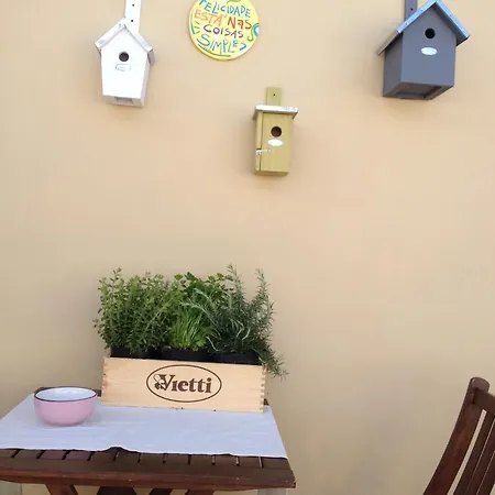 Appartement Casa Bona *