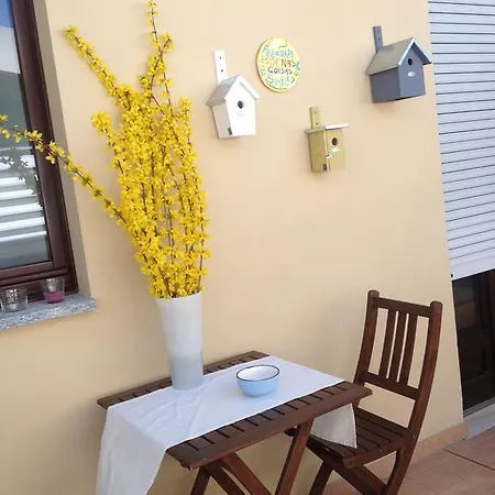 Appartement Casa Bona *