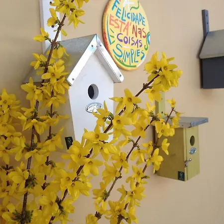 Casa Bona *