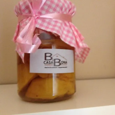 Casa Bona Apartment Alba (Piedmont)