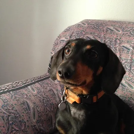 Casa Bona Apartment *