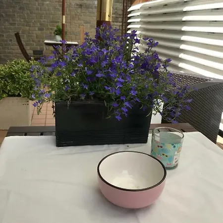 Casa Bona * Alba (Piedmont)